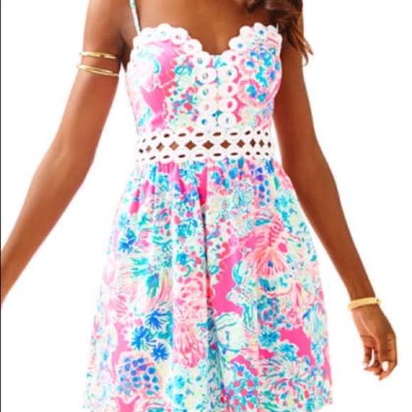 Lilly Pulitzer Dresses & Skirts - Lilly Pulitzer Rika Dress BRAND NEW